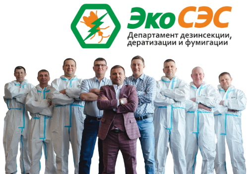 Служба СЭС